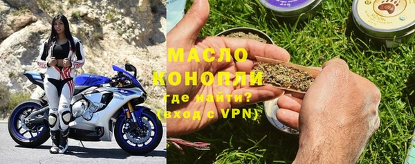 крисы Инта