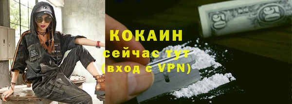 крисы Инта