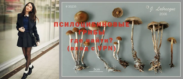 крисы Инта