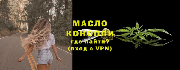 крисы Инта