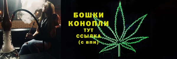 крисы Инта