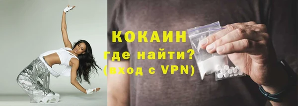 крисы Инта