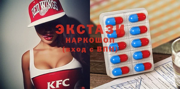 крисы Инта
