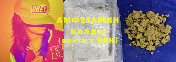 крисы Инта