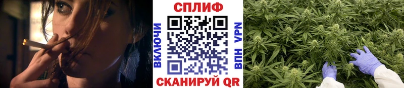 Марихуана сатива  Купить  Кизляр 